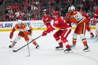 Ducks surrender 6 goals in loss to Red Wings