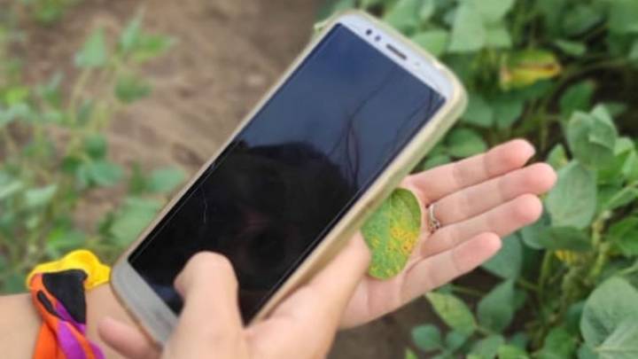 Cómo llevar la tecnología al corazón productivo argentino