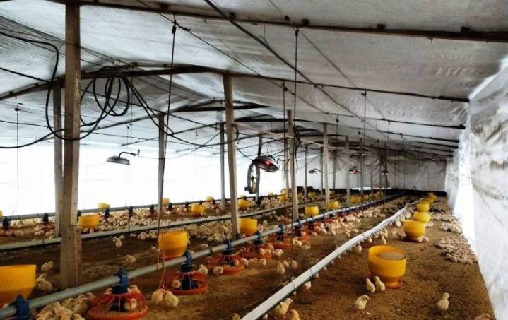 Inseguridad en Arrecifes: así es muy difícil