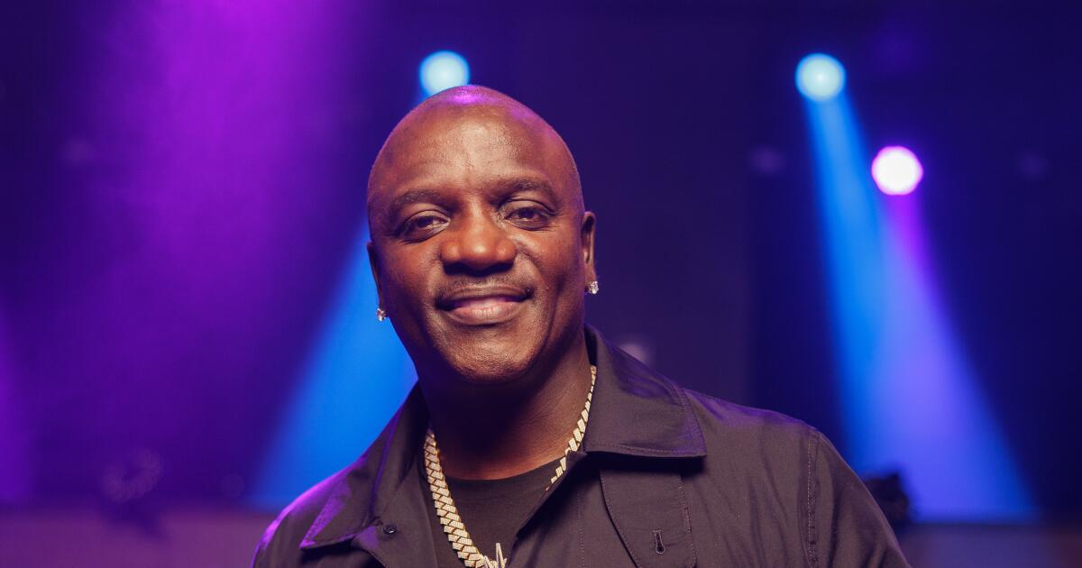 Akon arrested in Atlanta on a bench warrant before flying off for tour dates in India