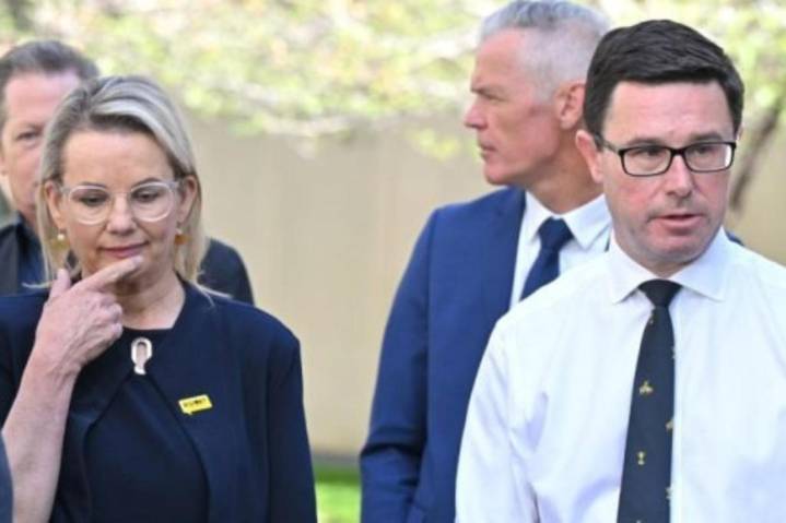 Nationals ditch net zero as Liberals ponder policy - News | InDaily, Inside South Australia