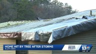 Tree falls through Bluff Creek home, feet away from where family was sleeping
