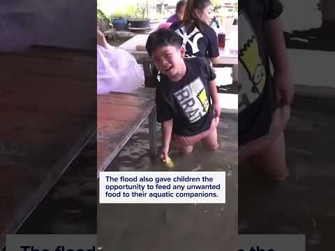 Fish swim among diners at flooded Thai restaurant