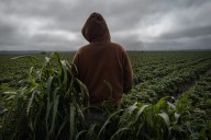 California Is Failing to Protect Health and Safety of Child Farmworkers