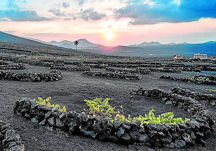 Nuevo paso para sacar el Plan Especial de La Geria