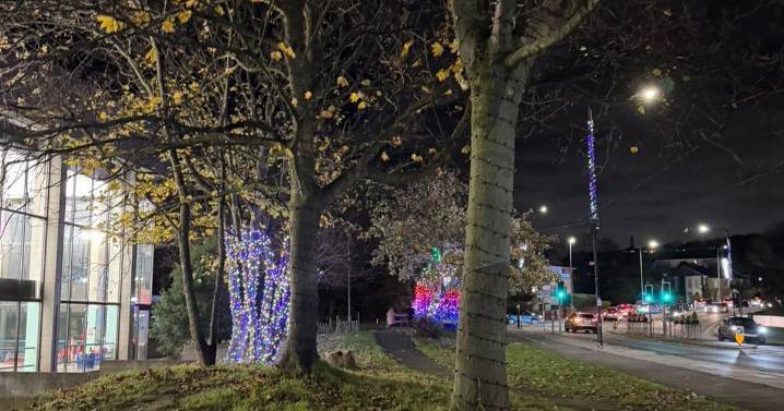 Christmas lights damaged after lorry drives through power cables