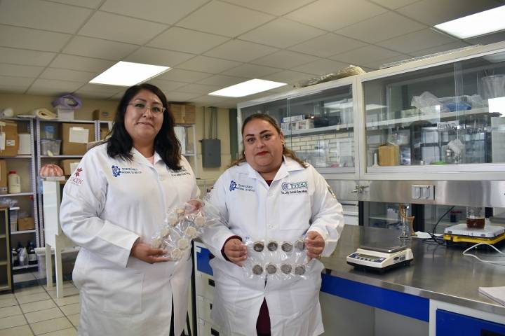 ITESA desarrolla proyecto para proteger a las abejas con alimento a base de tuna