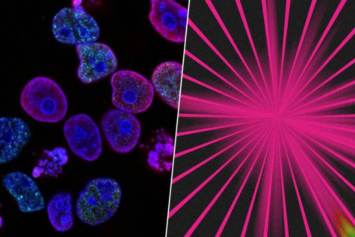 El tratamiento más inesperado contra el cáncer está en la luz LED, y está dando buenos resultados