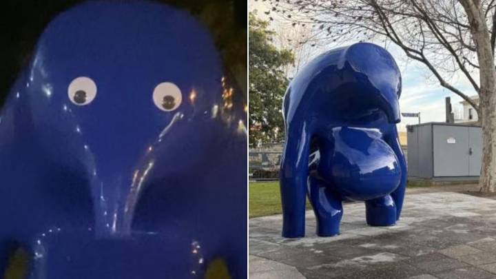 ‘Blue Blob’ vandalism: Teen charged over Mount Gambier googly eyes prank asks for help to pay legal fees