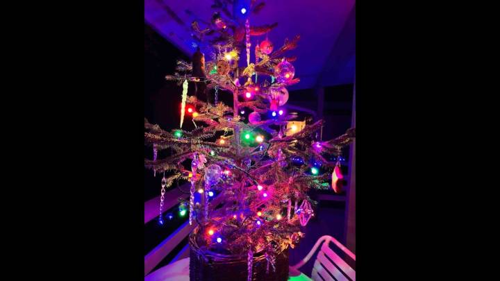 Holiday Trees for Salmon event at NW Stream Center Dec. 6