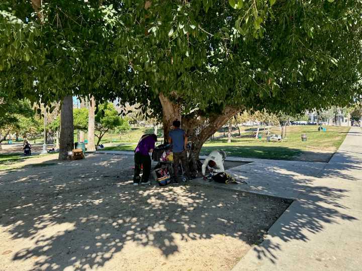 Propuesta para enrejar el Parque MacArthur genera controversia