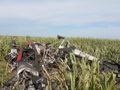 Entre Ríos: un piloto se salvó de milagro de la caída de una avioneta