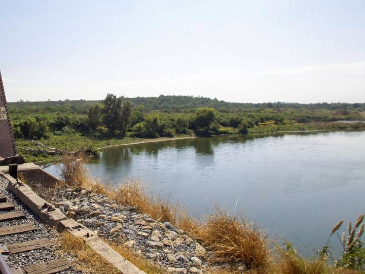 Joven se mete borracho a nadar al río y muere ahogado