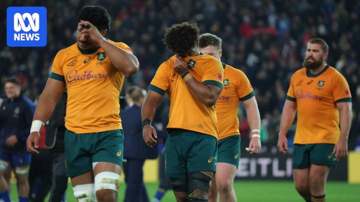 Wallabies lament poor performance in 26-19 Test rugby loss to Italy