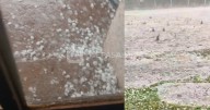 Terrible tormenta con granizo en localidad salteña: "Del tamaño de tapitas de gaseosa"
