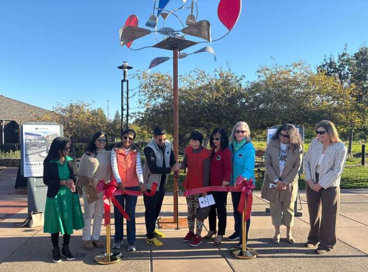 Public art loan program aims to beautify Saratoga