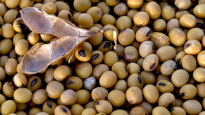 Gobierno fija en 0% el arancel para las importaciones de 76 insumos agropecuarios