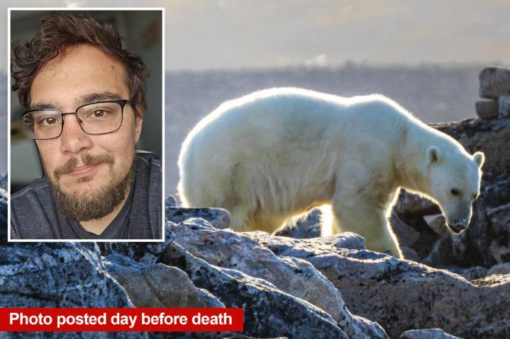 Radar tech mauled to death by polar bears while taking photos of them at Arctic outpost