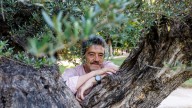 Rafael Fontán Barreiro, profesor de cultura clásica y estudioso del olivo: “Todo olivo tiene siete mil años”