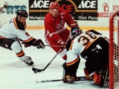 Former Storm forward Williamson to be inducted into Toledo hockey hall of fame