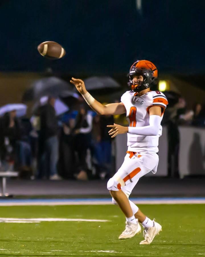 Top-ranked Almont shuts down Marine City for another district title; Detroit Edison avenges Michigan Collegiate; Frankenmuth stalls out Richmond