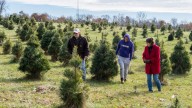 Here's where you can cut down a Christmas tree in the Evansville area.