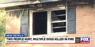 2 people hurt, multiple dogs killed in Greenwood Co. fire