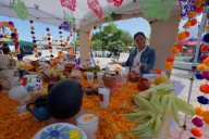 “Inculquemos honrar la tradición": Inician actividades del Hanal Pixán 2025 en Playa del Carmen