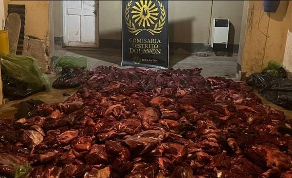 Secuestran 800 kilos de carne de guanaco en un control sobre la Ruta 25