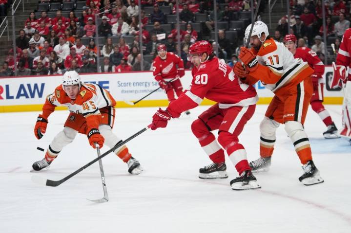 Ducks surrender 6 goals in loss to Red Wings