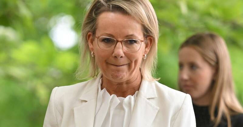 'Threading a needle': Libs prepare for net zero fight