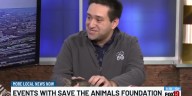Save the Animals Foundation gears up for Giving Tuesday and several pet adoption events
