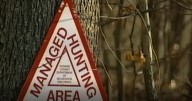 Maryland judge holds off decision on hunting ban on properties in path of power line project