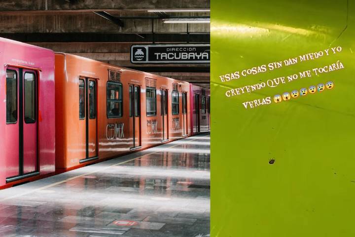 Usuario difunde video de chinches en el Metro de la CDMX: ¿en qué línea están los insectos?