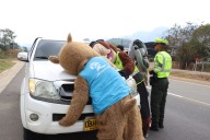 “Por la vida reduzco la velocidad en la vía” una campaña en pro la protección de los animales