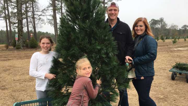 These Alabama Christmas tree farms will be open for 2025