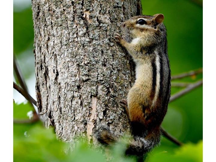 County Sunshine: A day in the life of the absent