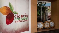 Exposición Dinámica para Convertir Cacao en Chocolate: ¿Dónde Está la Muestra en CDMX?  
