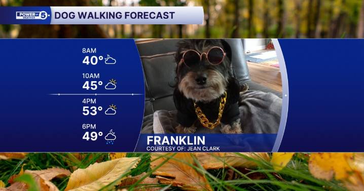 Halloween is not over when it comes to our dog walking forecast!