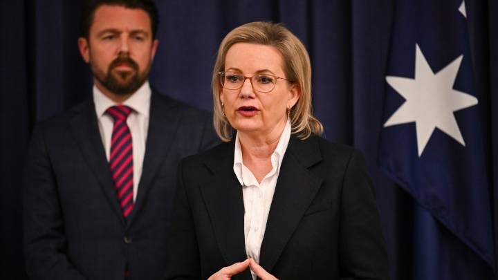 'Sensible number': Coalition considers cutting migration intake by 100,000 as opposition shifts focus away from climate wars