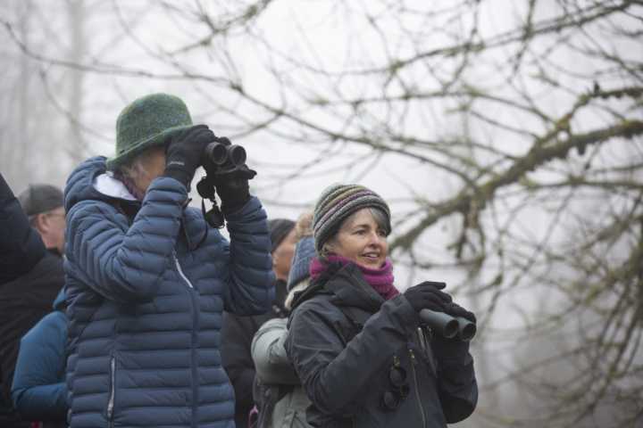 For the birds: Vancouver Audubon celebrates its 50th anniversary