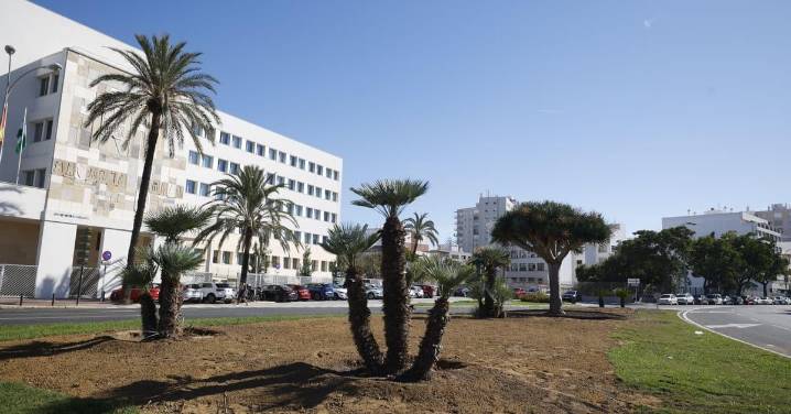 La Puerta de Tierra de Cádiz se cubre de verde