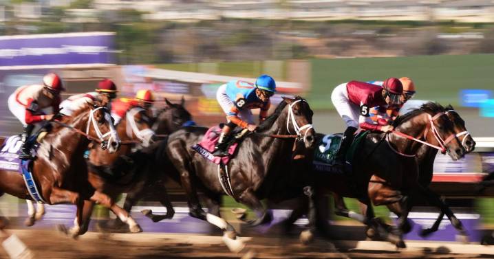 Forever Young beats defending champion Sierra Leone to win $7M Breeders' Cup Classic