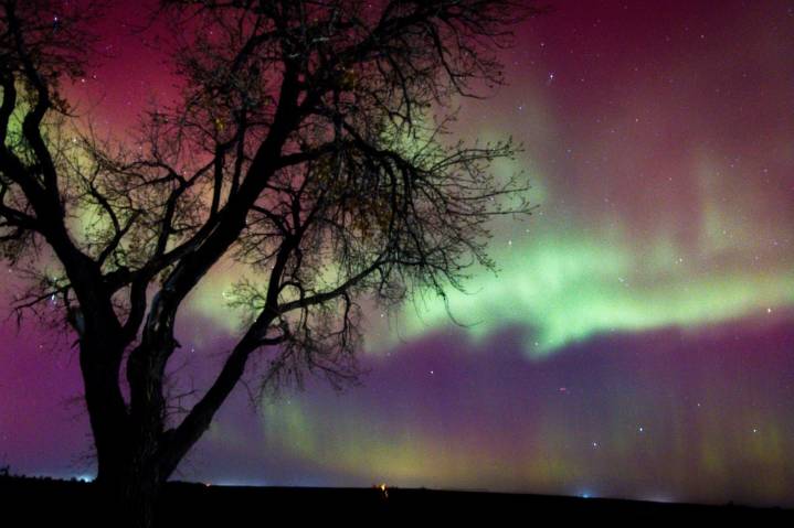 PHOTOS: See the northern lights shine across Colorado