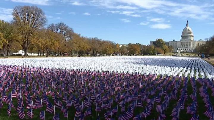 Flags planted on National Mall to raise lung cancer awareness