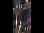 2 DEAD IN HERNDON HOUSE FIRE