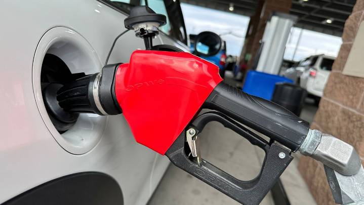 Record number of travelers expected for Thanksgiving holiday