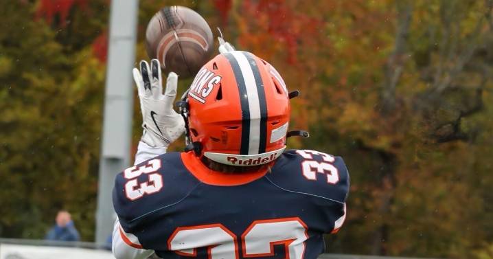 Lions steamroll Alton Marquette in playoffs opener