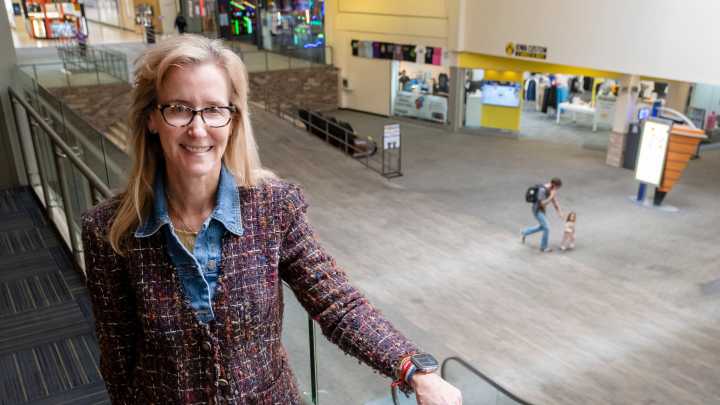 Faith in Merle Hay Mall CEO proves crucial in arena approval
