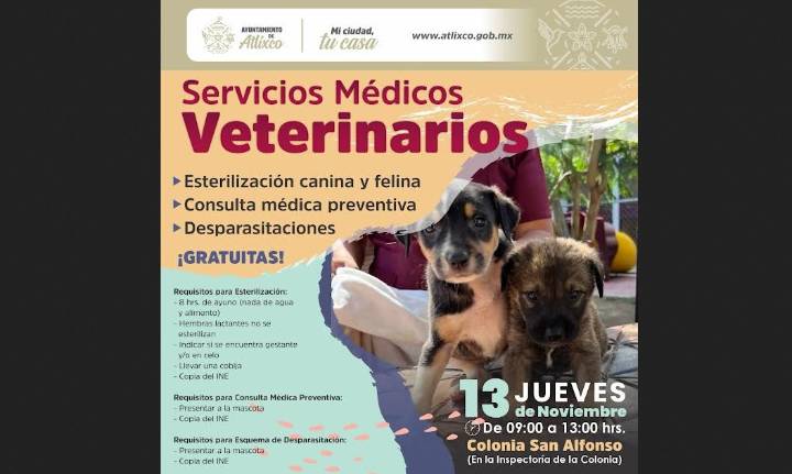 Ariadna Ayala lanza jornadas veterinarias gratis en Atlixco